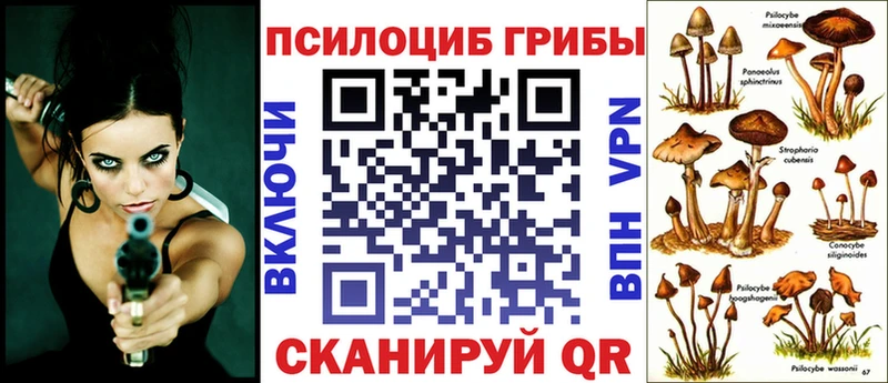 Псилоцибиновые грибы Cubensis  купить закладку  Мышкин 